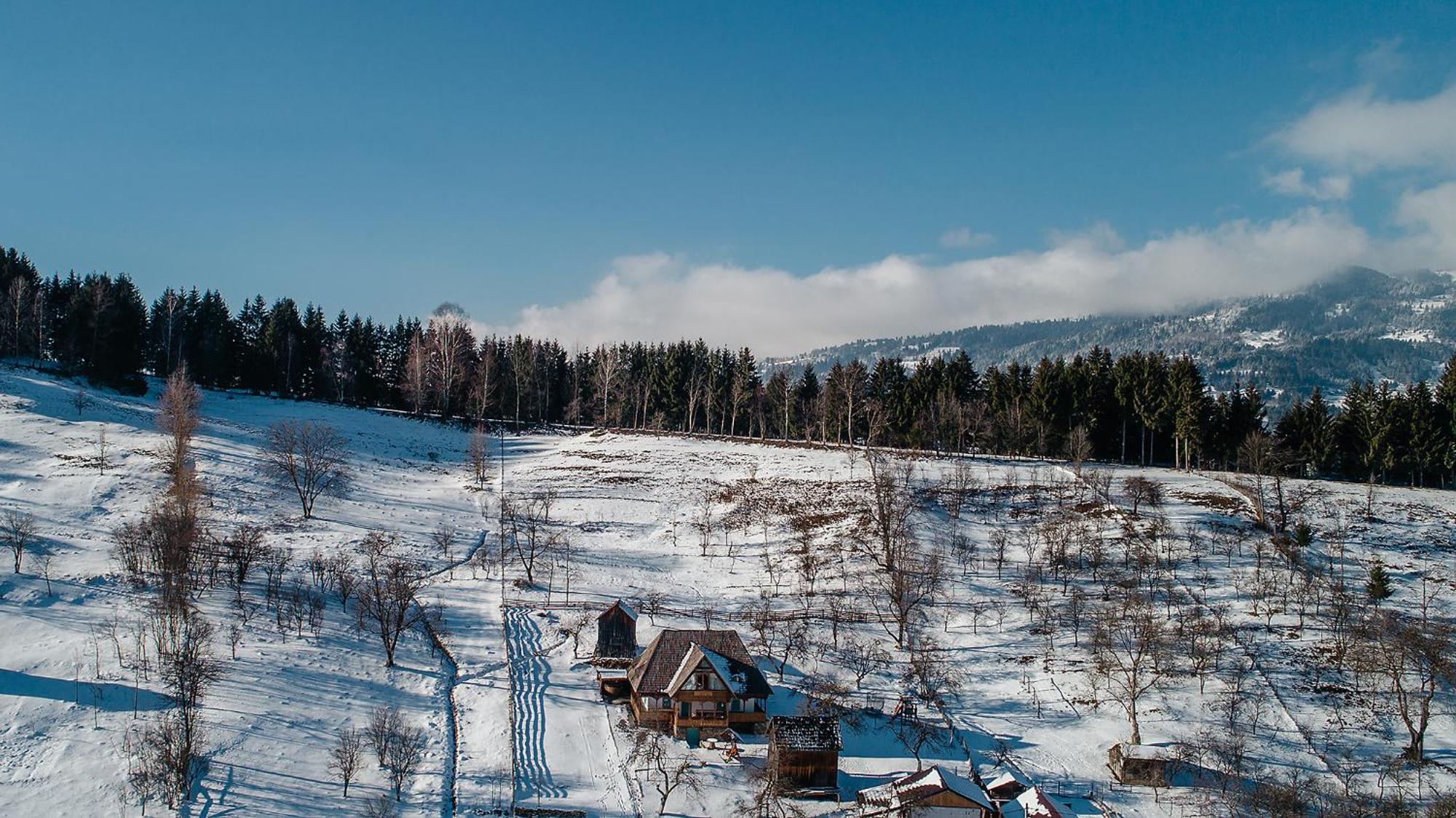 La Bujda Lu Mosu Villa Borşa Exteriör bild