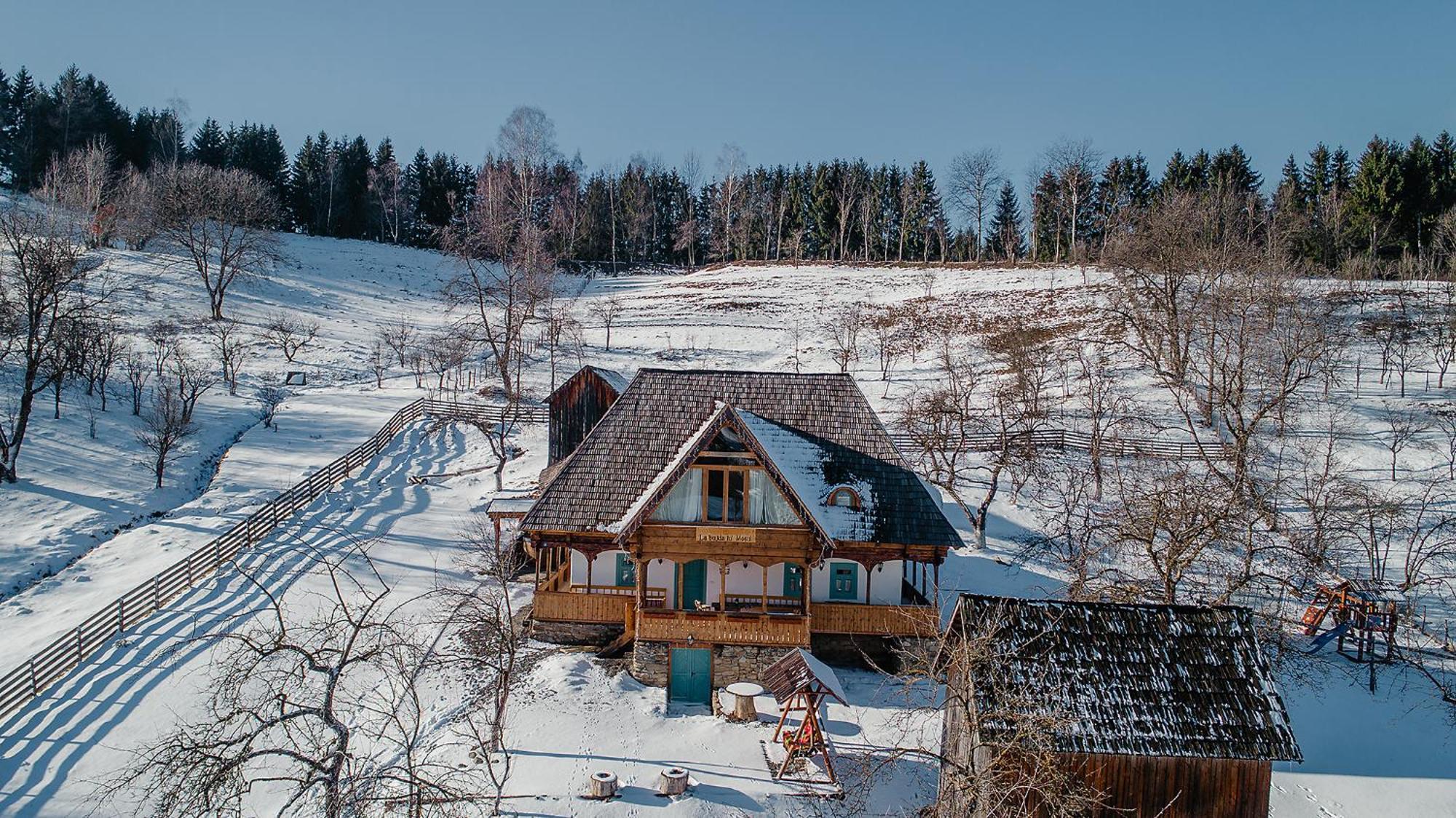 La Bujda Lu Mosu Villa Borşa Exteriör bild